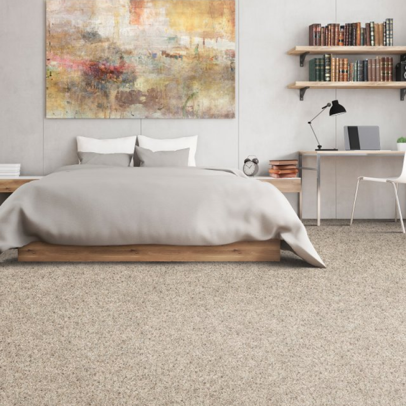 Bartz Floor Covering providing stain-resistant pet proof carpet
